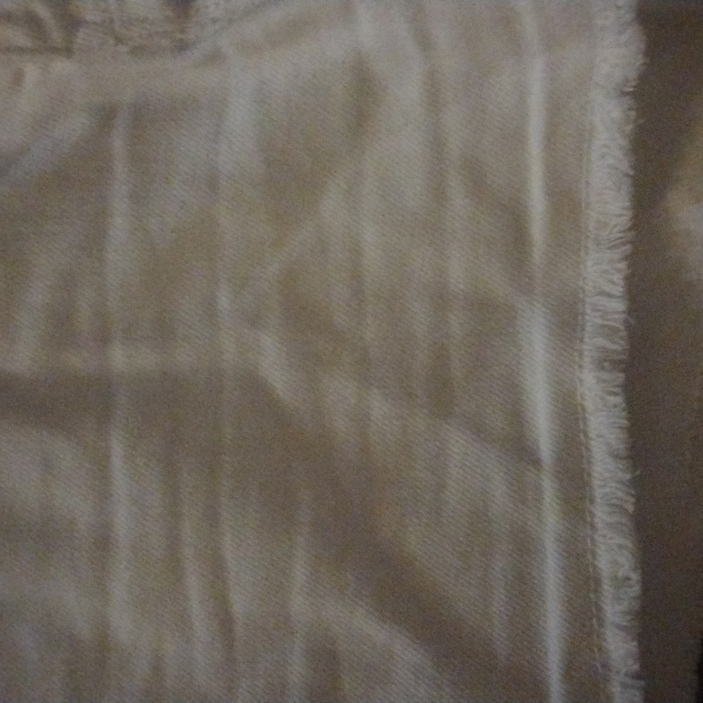 White Ladies Shorts - Picture 3 of 6